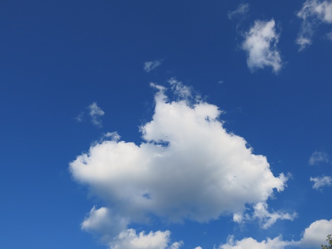 June clouds in a blue sky